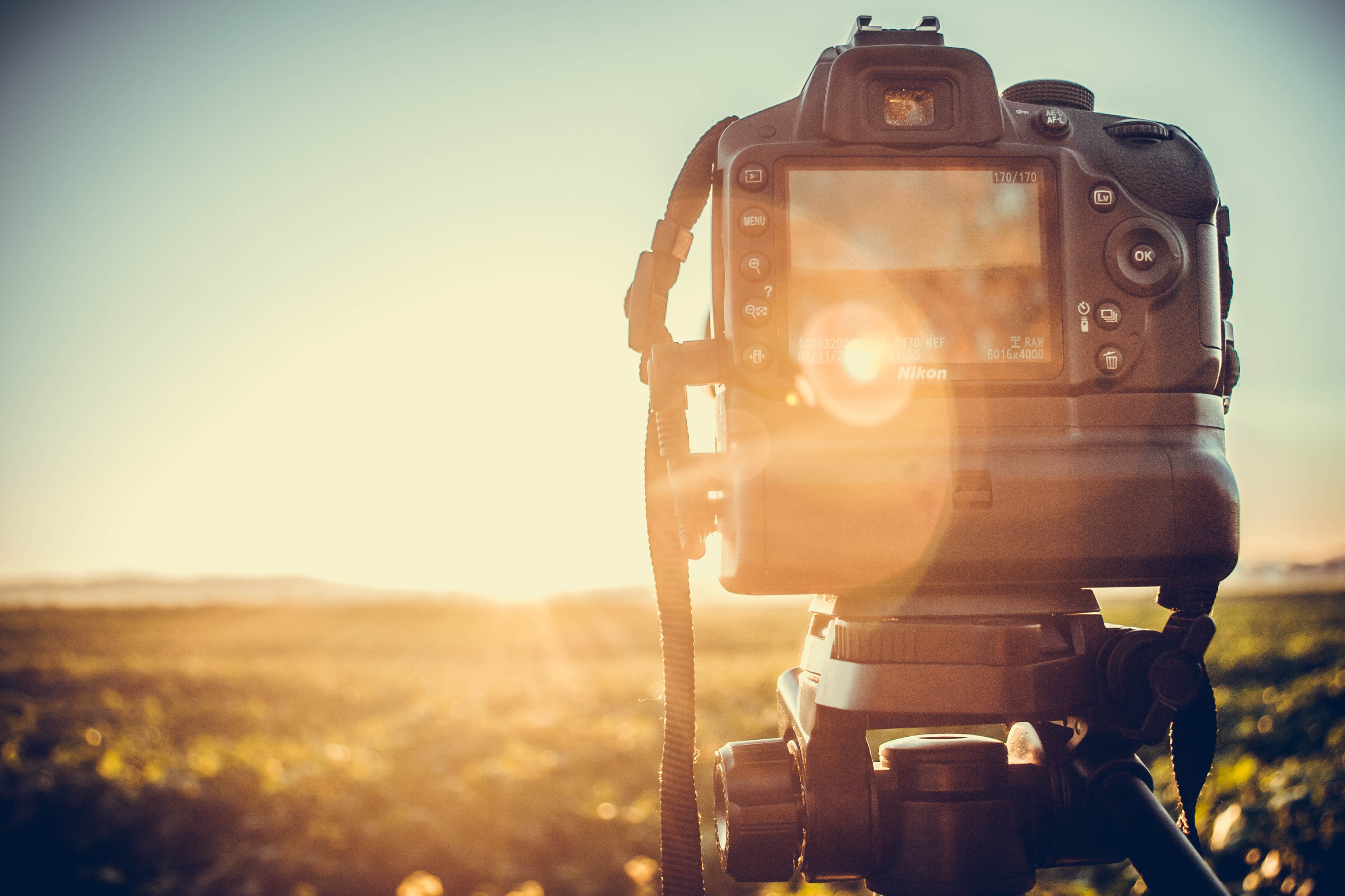 Fotografie bei Gegenlicht – für faszinierende Effekte