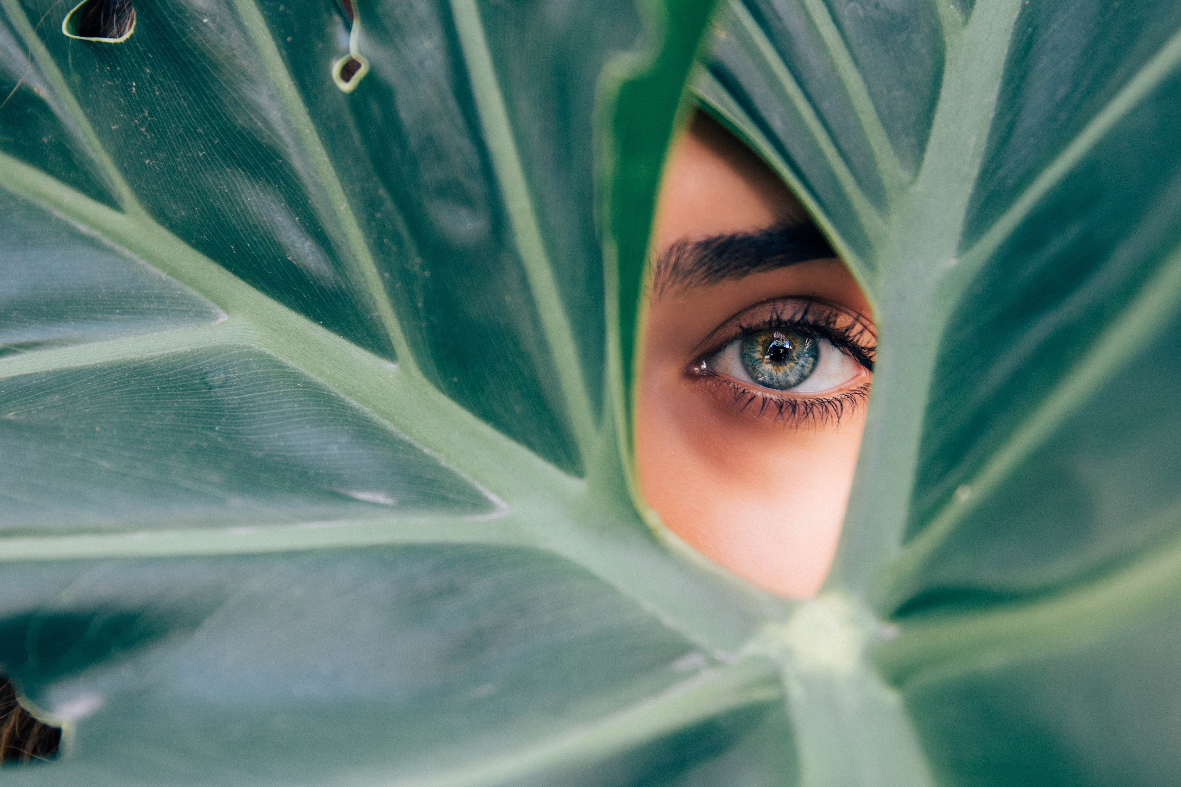 Tipps zum Augen-Autofokus