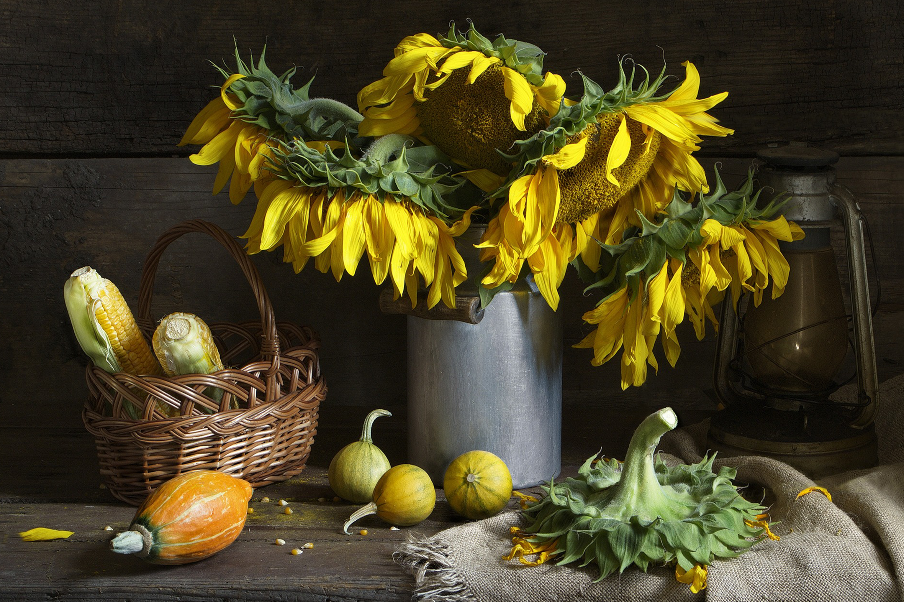 Stillleben fotografieren - Kreative Kompositionen für beeindruckende Bilder