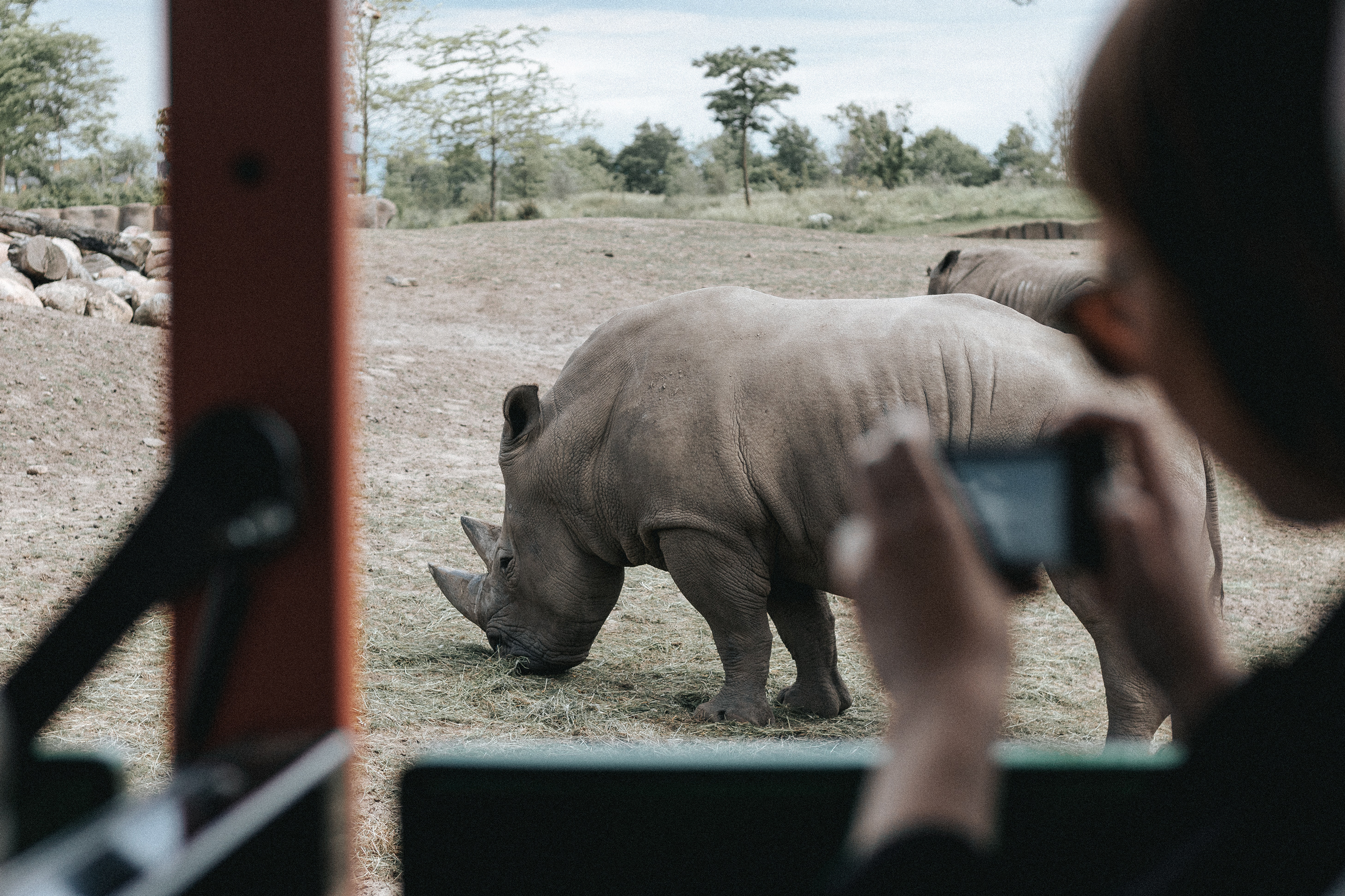 Tipps für spektakuläre Wildtierfotos!