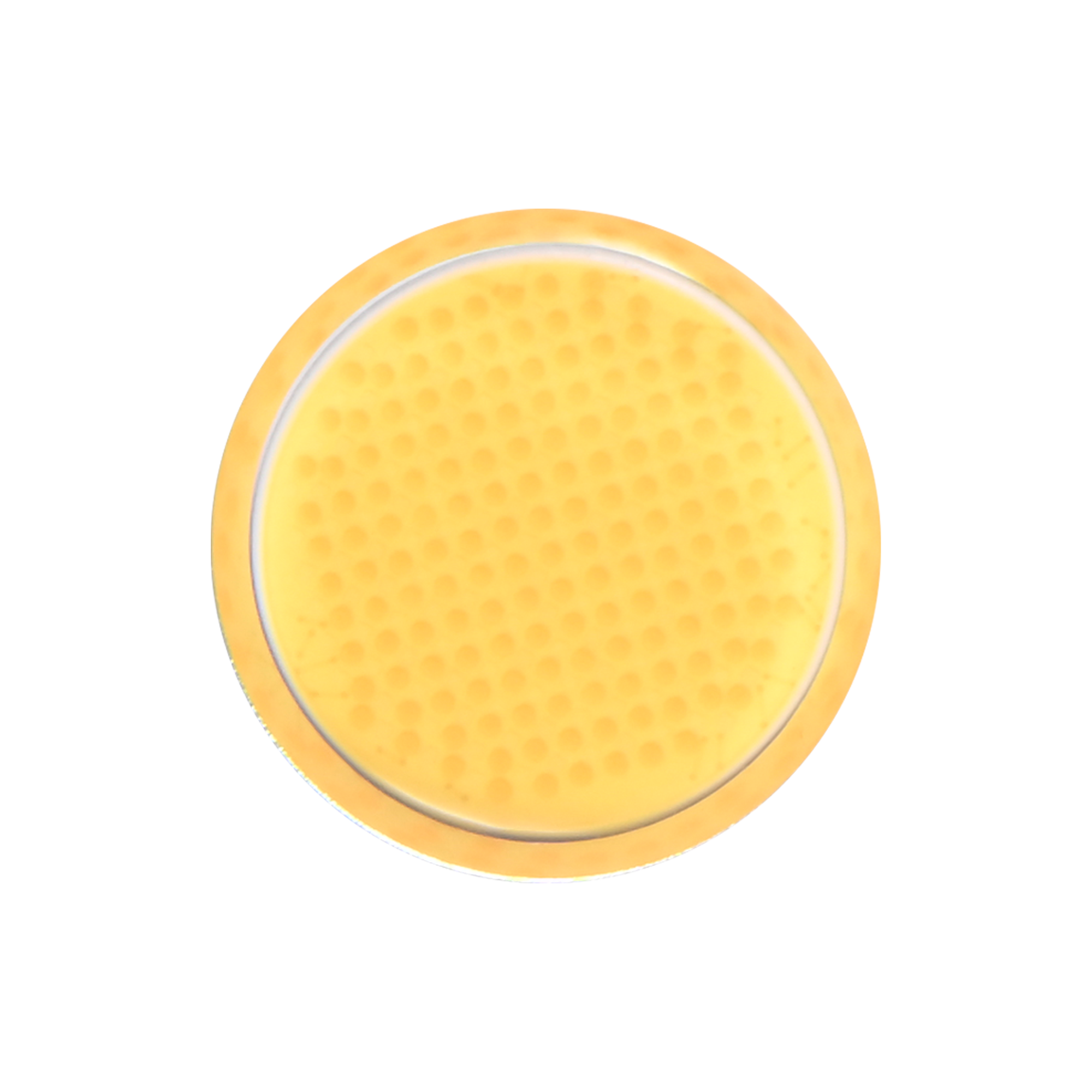 EF-200X LED-Dauerlicht | Bi-Color