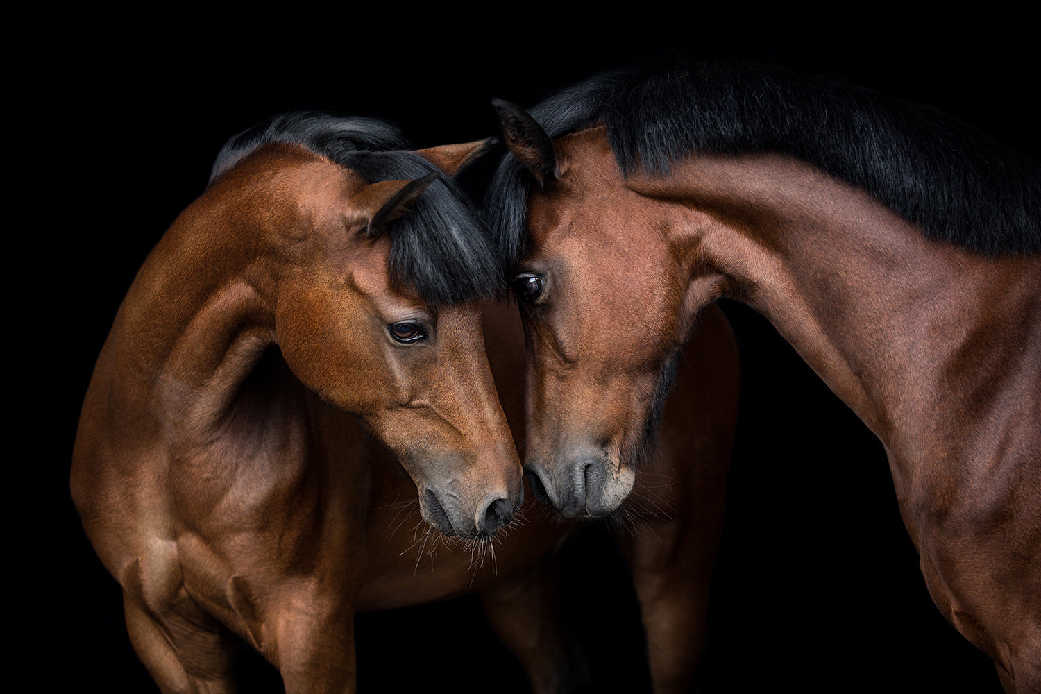 Jinbei im Gespräch mit Fotografin Diana Wahl