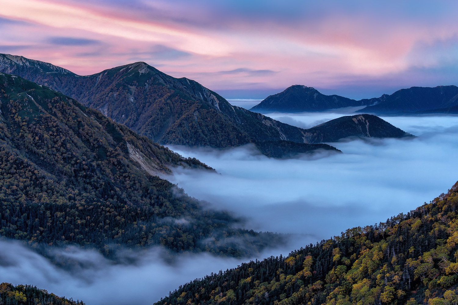 Nebel-Landschaften eindrucksvoll fotografieren