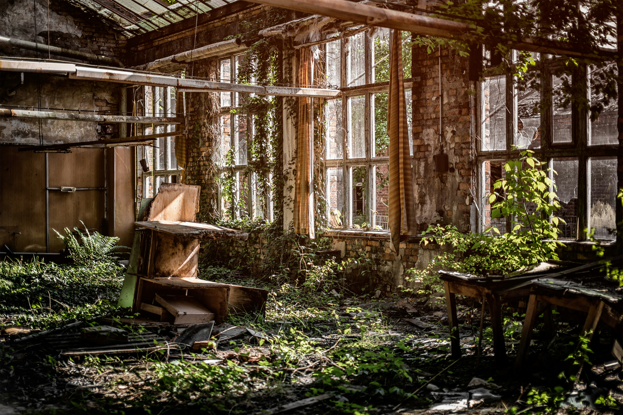 Lost Places: Faszination verlassener Orte durch die Linse