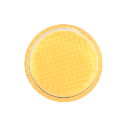 EF-200X LED-Dauerlicht | Bi-Color