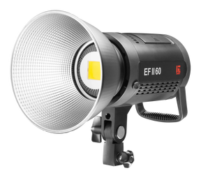 EFII-60 LED Sun Light Dauerlicht 60 W